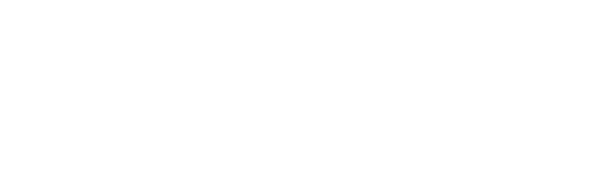 Skilion Consulting